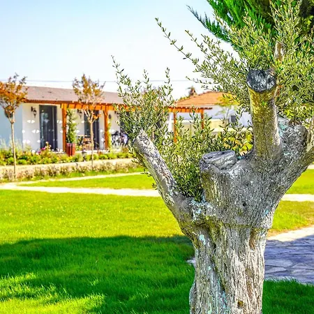 Linasya Bozcaada فندق *