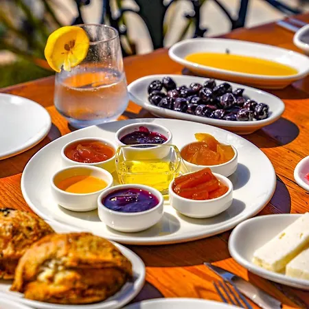 فندق Linasya Bozcaada