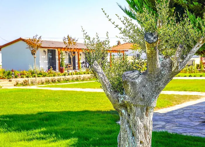 Linasya Bozcaada Hotel *